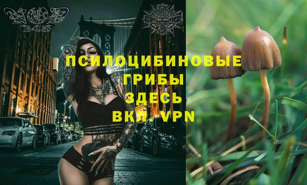 спиды Пересвет