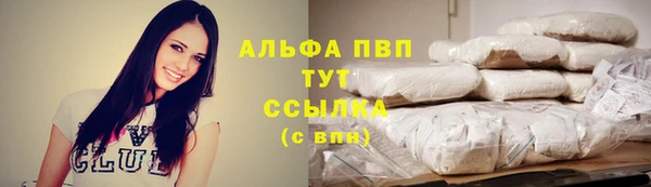 спиды Пересвет