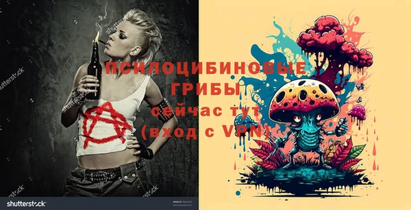 спиды Пересвет