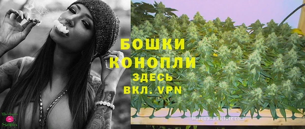спиды Пересвет