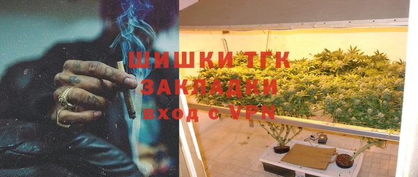 спиды Пересвет