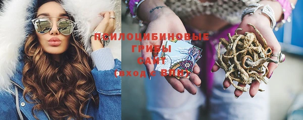 мдма Переславль-Залесский