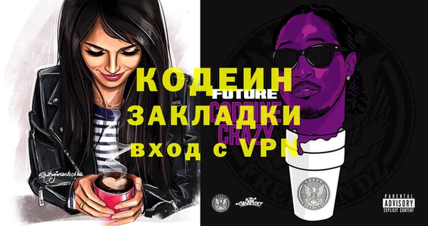 спиды Пересвет