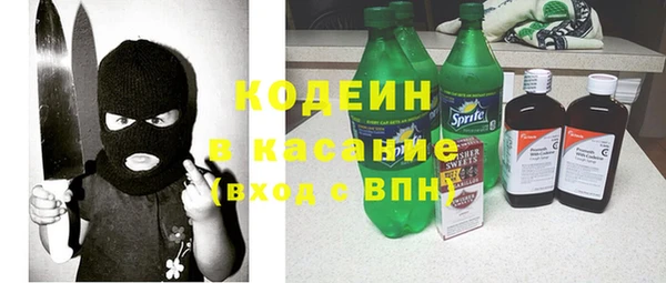 спиды Пересвет