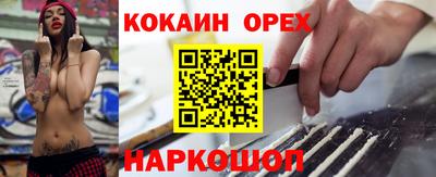 мет Кингисепп