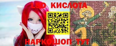 мет Кингисепп