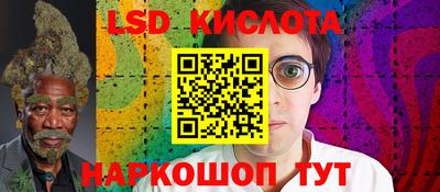 мет Кингисепп