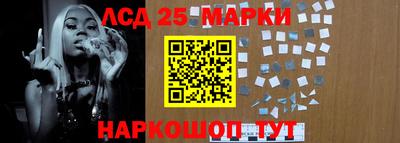 прущие грибы Абакан