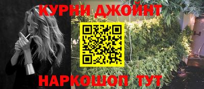 мет Кингисепп