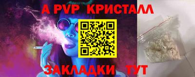 мет Кингисепп