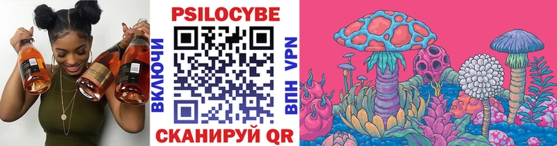 мега вход  Лысьва  Псилоцибиновые грибы Psilocybine cubensis 
