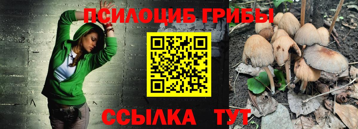 Псилоцибиновые грибы прущие грибы Лысьва