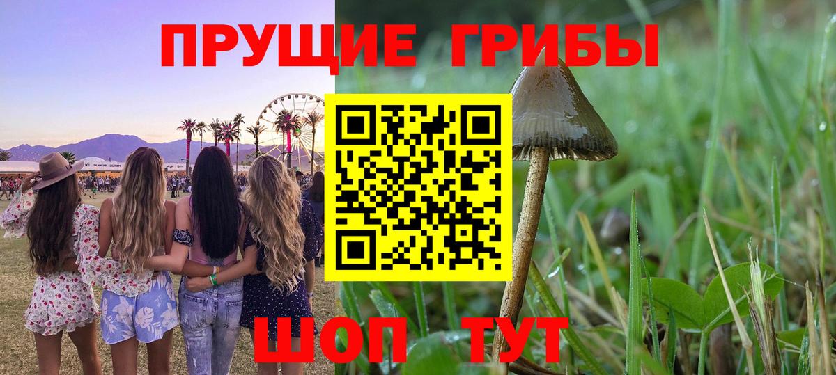 Псилоцибиновые грибы Psilocybine cubensis  Псилоцибиновые грибы ЛСД  Вход с VPN  Лысьва 